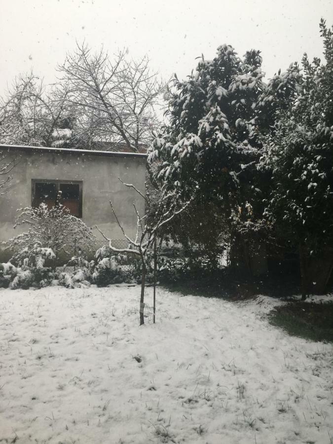 Villa Bacchetta - Stone Cottage 奥雷吉奥卡斯特罗 外观 照片
